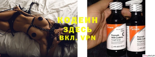дживик Гусь-Хрустальный