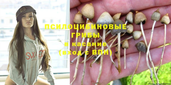 дурь Горняк