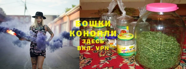 крисы Горнозаводск